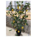 Artificial Lemon Tree in a Pot