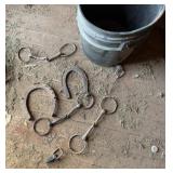 Bucket, 2 Horseshoes, Bridal Parts