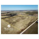 41.7 +/- Acres (Entirety)