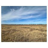 Tract #2: Middle 15.8 +/- Ac.