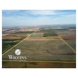 Farm #2 (260 +/- Acres)