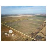 Farm #1 (160 +/- Acres)
