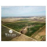 Farm #3 (160 +/- Acres)