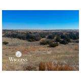 680 +/- Acres of Good Livestock/Ranch/Hunting Land