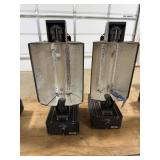 2 AgroMax Grow Lights