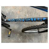 Roamaster Granite Peak bicycle