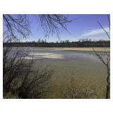 Tract #3: 74.22 +/- Acres