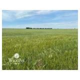 80 +/- Ac. of Productive Cropland, Blaine Co., OK