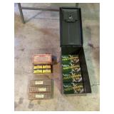 .22LR Ammo and Ammo Box