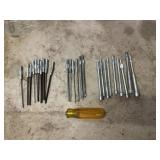 Multi-bit Screw Driver