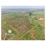 160 +/- Ac. | Good Sm. Grain/Livestock Land