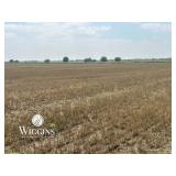 160 +/- Ac. | Good Sm. Grain/Livestock Land