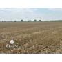 7/15 160 +/- Ac. 