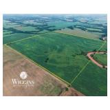 150 +/- Ac. | Productive Sm. Grain Land w/Creek