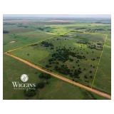 Farm #1 (78 +/- Ac.):