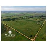 Farm #2 Entirety (161 +/- Ac., Home, & Outbldgs.):