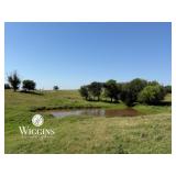 Farm #2, Tract #2 (155 +/- Ac.):