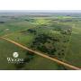 7/10 2 Farms Totaling 240 +/- Ac. | Home & Acreage