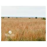 236 +/- Ac. | Native Grass Mix | Alfalfa Co., OK