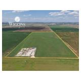 Farm #1 (80 +/- Acres - Productive Cropland)