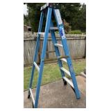 Werner 6' Ladder