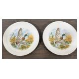 2 Frankoma Pottery Mallard Duck Decorative Plates