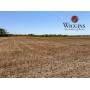 9/24 55 +/- Ac. | NW Side of Enid | Development Potential