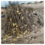Electric Fence Stakes, Misc. Wire