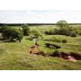 160 +/- Ac. of Outstanding Livestock/Wildlife Land