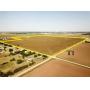 Tract #1 145 +/- Ac. of Highly Productive Cropland
