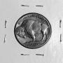 Coin Auction at Stoner's Auction