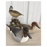 Signed Pintail Ducks American Wildlife Collections