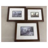 (3) Framed Prints