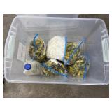 Empty shot gun shells & storage container w/ lid