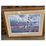 Ducks Unlimited, David A. Maass Framed Print
