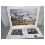 Quail Unlimited Prints - no frames