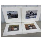 (4) Duck Unlimited Prints