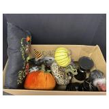 Variety of Pumpkins, Halloween pillow