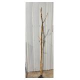 Wood Branch Coat Rack w/ Wrought Iron Base