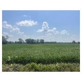 Parcel #2 - 51 +/- acres - 45 Acres Tillable &