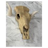 Decorative cow skull, horns not attached,