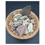 Variety of Fossil Rocks