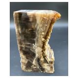 Petrified Wood opalized 6.5in long x 3.5in
