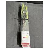 3 prelit glittery w/pinecone branches, 24in., new