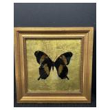 Butterfly w/ Gold Colored Foil Background Artwork