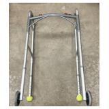 Alickï¿½s Home Medical Walker