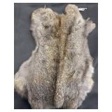 Rabbit Pelt