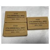 60 Rounds CTG. 5.56MM Ball MI93 Ammo