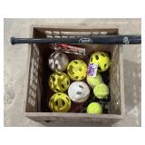 Mini Sox Bat, Hard Training Hitting Balls, Fetch