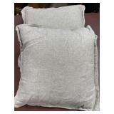 (2) 20" x 20"  throw pillows